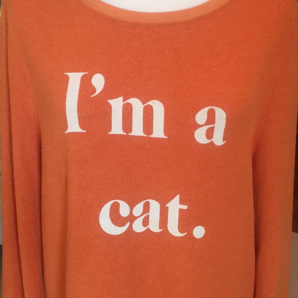 Wildfox Guess What I Am Baggy Beach Jumper - Picture 5 of 8